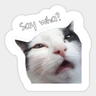 Cat confused Sticker